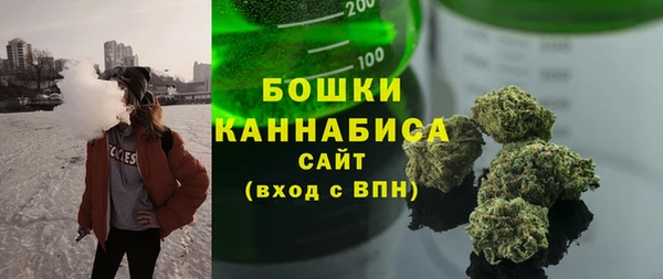 ПСИЛОЦИБИНОВЫЕ ГРИБЫ Лагань