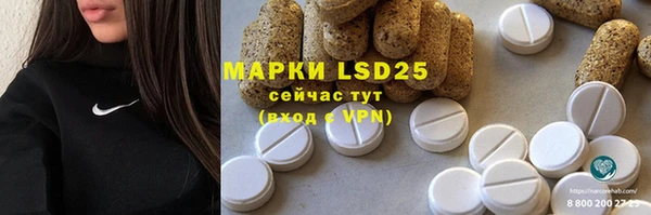 стафф Ладушкин