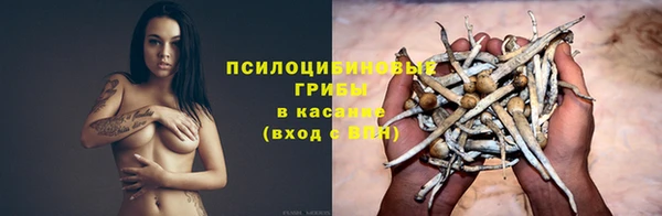 ПСИЛОЦИБИНОВЫЕ ГРИБЫ Лагань