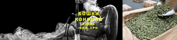 стафф Ладушкин